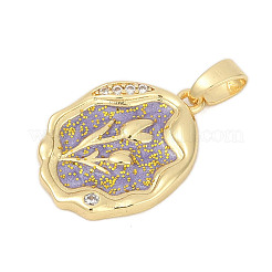 Brass Micro Pave Cubic Zirconia Pendants&nbsp;KK-U068-10G-03