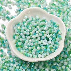Two Tone Baking Paint Glass Seed Beads&nbsp;SEED-C004-03D