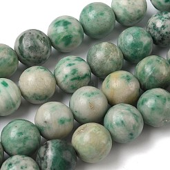 Natural Green Spot Jasper Beads Strands&nbsp;G-F818-A05-14mm