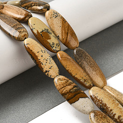 Natural Picture Jasper Beads Strands&nbsp;G-B078-E01-01
