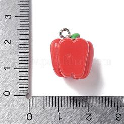Resin Iron Pendants&nbsp;RESI-D280-05