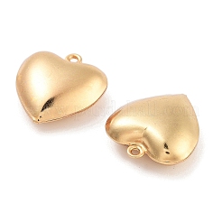 316 Surgical Stainless Steel Pendants&nbsp;STAS-B072-03G-02