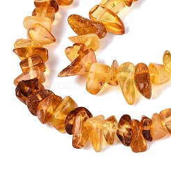 Natural Amber Beads Strands&nbsp;G-N371-21A-01
