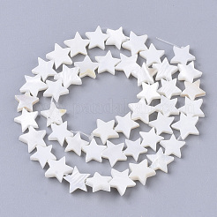 Freshwater Shell Beads Strands&nbsp;SHEL-T014-009G