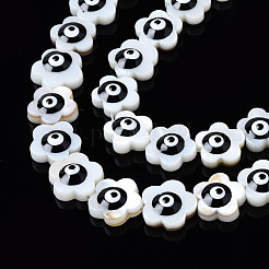 Natural Freshwater Shell Beads&nbsp;SHEL-Q025-004A