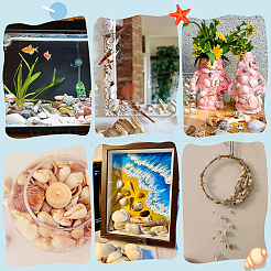 14 Styles Natural Shell Ornaments&nbsp;AJEW-PH0011-89