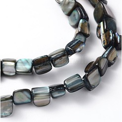 Erose Shell Beads Strands&nbsp;PBB070Y