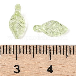 Transparent Acrylic Charms&nbsp;X-TACR-F009-11B