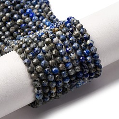 Natural Lapis Lazuli Beads Strands&nbsp;G-L629-B01-3mm-04