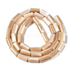 Natural Trochid Shell/Trochus Shell Beads Strands&nbsp;SSHEL-S266-020B-04