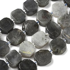 Natural Labradorite Beads Strands&nbsp;G-I394-D19