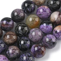 Natural Charoite Beads Strands&nbsp;G-C270-O03-12