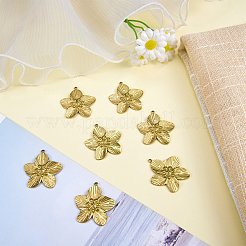 10Pcs 304 Stainless Steel Pendants&nbsp;STAS-SZ0003-53A