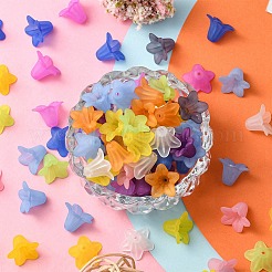Transparent Acrylic Beads&nbsp;FIND-YW0001-68