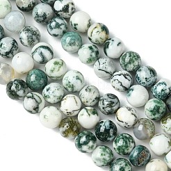Natural Tree Agate Beads Strands&nbsp;G-K194-8mm-02