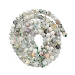 Natural Tree Agate Beads Strands&nbsp;G-G189-D12-03