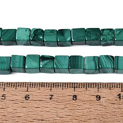 Natural Malachite Beads Strands&nbsp;G-Q608-24
