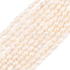 Natural Cultured Freshwater Pearl Beads Strands&nbsp;PEAR-D003-01D-04