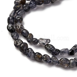 Natural Iolite/Cordierite/Dichroite Beads Strands&nbsp;G-I389-A34-01A