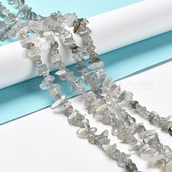 Natural Labradorite Beads Strands&nbsp;G-E607-A02