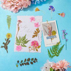 4 Bags 4 Styles Plant PET Adhesive Waterproof Stickers&nbsp;DIY-TA0009-84