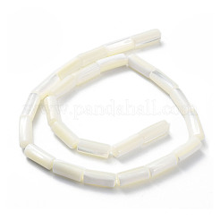 Natural Trochus Shell Beads Strands&nbsp;SSHEL-S266-020A-05