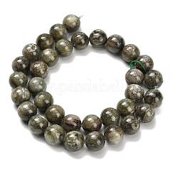 Natural Green Kyanite Beads Strands&nbsp;G-H335-B05-12mm