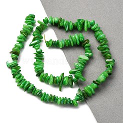 Natural Freshwater Shell Beads Strands&nbsp;BSHE-I016-01D
