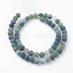 Natural Moss Agate Bead Strands&nbsp;G-G735-62F-6mm
