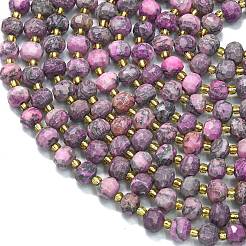 Natural Netstone Dyed Beads Strands&nbsp;G-K389-E29-01