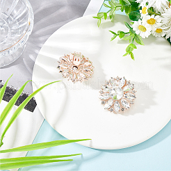 2Pcs Alloy Rhinestone Shoe Decorations&nbsp;AJEW-FG0003-72B
