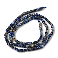 Natural Lapis Lazuli Beads Strands&nbsp;G-C052-05A