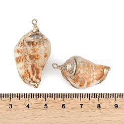 Natural Shell Pendants&nbsp;SHEL-K009-01D