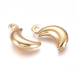 304 Stainless Steel Pendants&nbsp;X-STAS-I138-05G
