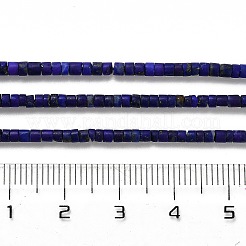 Natural Lapis Lazuli Beads Strands&nbsp;G-Z074-C01