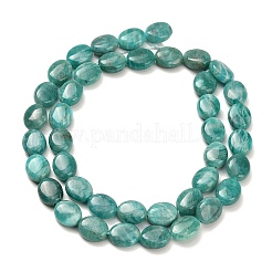 Natural Amazonite Beads Strands&nbsp;G-H335-N02-8x10mm