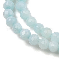 Natural Freshwater Shell Dyed Beads Strands&nbsp;SHEL-R100-12A-02