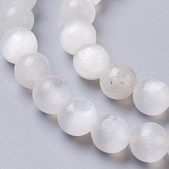 Natural Selenite Beads Strands&nbsp;G-I203-C-10mm