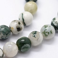 Natural Tree Agate Beads Strands&nbsp;G-I199-03-4mm