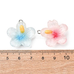 Transparent Resin Pendants&nbsp;RE-CBA5F64-01