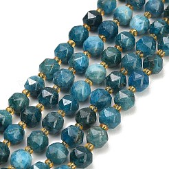 Natural Apatite Beads Strands&nbsp;GG-CBA3921-B10-8mm