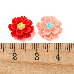 Opaque Resin Decoden Cabochons&nbsp;CRES-I035-06