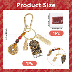 Resin and Brass Keychains&nbsp;AJEW-WH0455-96