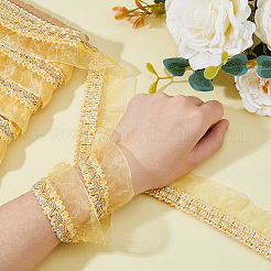 Polyester Lace Ribbon&nbsp;DIY-WH0530-65B
