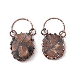 Natural Chiastolite Big Pendants&nbsp;G-I324-02R
