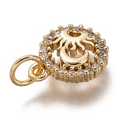 Brass Micro Pave Clear Cubic Zirconia Charms&nbsp;ZIRC-C020-70G