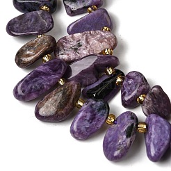 Natural Charoite Beads Strands&nbsp;G-P604-A29-01