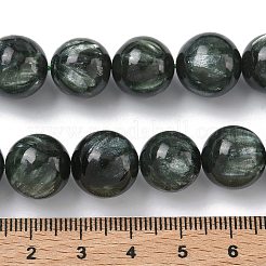Natural Seraphinite Beads Strands&nbsp;G-C270-O01-13