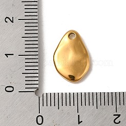 304 Stainless Steel Charms&nbsp;STAS-L022-317G