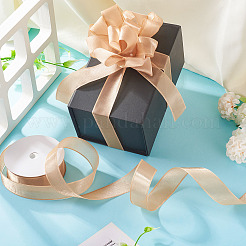 1 Roll Transparent Polyester Ribbon&nbsp;OCOR-TA0002-34E
